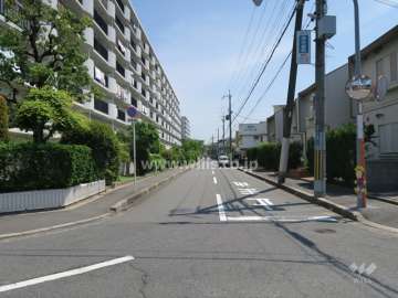 敷地南側の前面道路