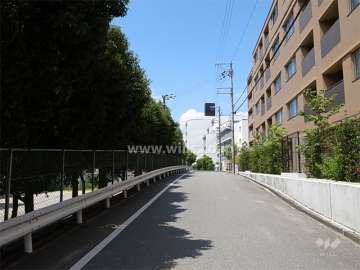 敷地南側の前面道路。道を挟んで『東泉丘小学校』です。
