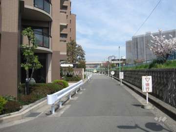 敷地南東側の前面道路