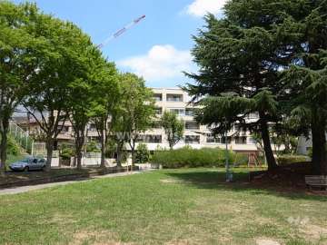 敷地の南側には道を挟んで緑豊かな『さつき公園』が広がっています。