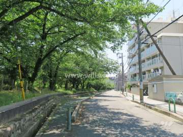 敷地東側の前面道路。緑地帯になっています。