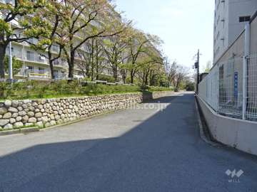 敷地南側の前面道路