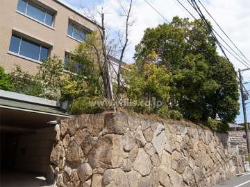 前面道路沿いには立派な石積みがあり、敷地内は木々が多く緑豊かです。