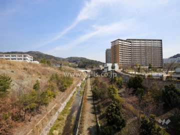 敷地の西側には川が流れています。