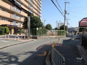 南側前面道路とマンション建物一部