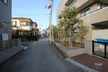 敷地西側の前面道路(南側から)