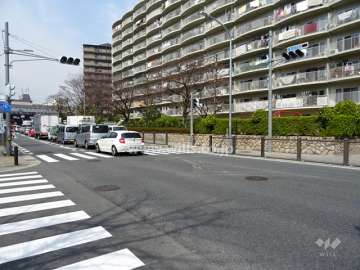 敷地南側の前面道路