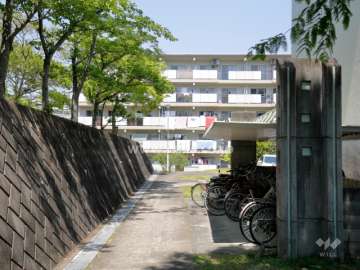 敷地西側の様子