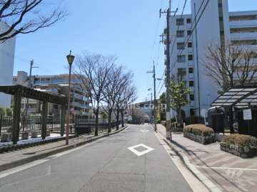 敷地東側の前面道路（北側から）