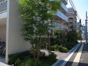北側前面道路との間には植栽スペースが設けられています。