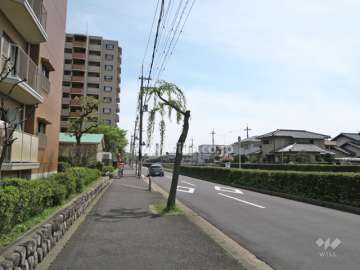 敷地西側の前面道路