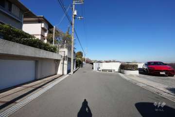 敷地北側の前面道路（西側から）