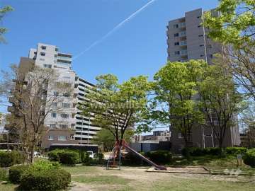 敷地の西側には緑豊かな『にれのき公園』があります。