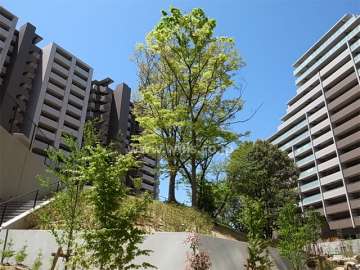 敷地中央にあるおもひでの森