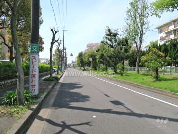 敷地北側の前面道路