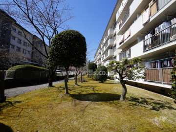 A15棟の南側の緑地