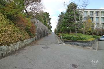 敷地南側の前面道路（東側から）