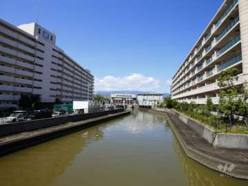 敷地南側を新川が流れています。