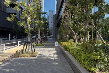 敷地の北東側前面道路（北西側から）