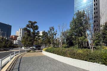 敷地の西側前面道路（南側から）