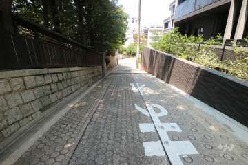 敷地西側の前面道路（南側から）