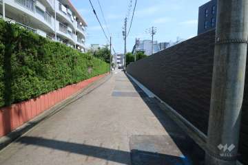 敷地北側の前面道路（西側から）