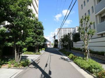 敷地西側の前面道路