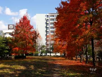 敷地の西側には『新船場南公園』があります。