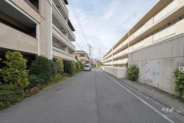 敷地東側の前面道路