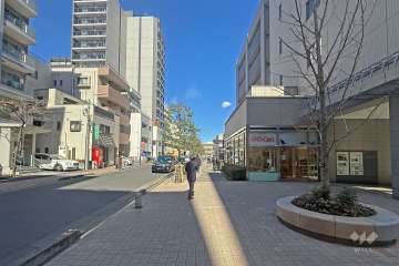 敷地の西側前面道路（南側から）