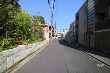 敷地南側の前面道路（西側から）