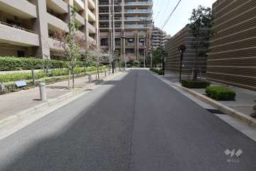 敷地南側の前面道路（西側から）