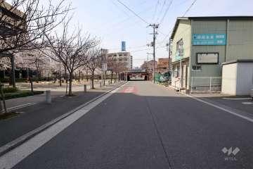 敷地北側の前面道路（東側から）