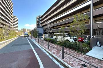 敷地の北側前面道路（西側から）