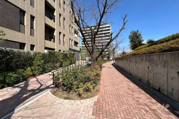 敷地の東側前面道路（南側から）