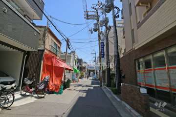 敷地北側の前面道路