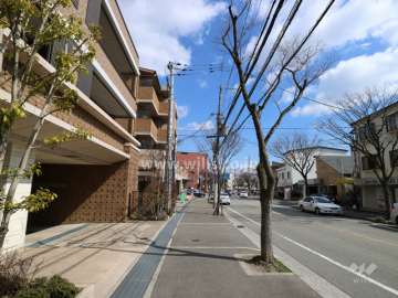 敷地南東側からの前面道路(南西側から)