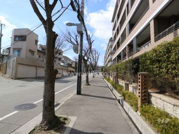 敷地南東側の前面道路(北東側から)