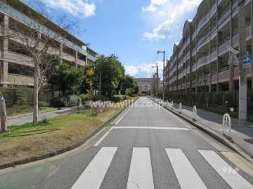 敷地西側の前面道路（江尻川緑道）