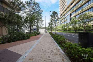 敷地北側の前面道路(東側から)