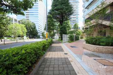 敷地北側の前面道路(西側から)