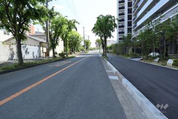 敷地東側の前面道路（北側から）