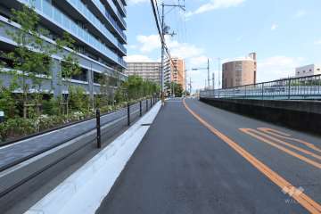 敷地南側前面道路（西側から）