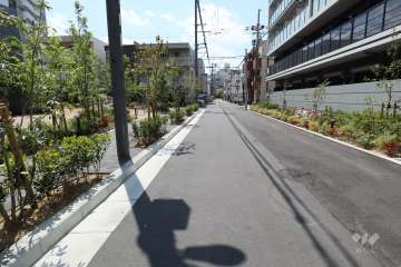 敷地北側の前面道路（東側から）