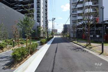 敷地西側の前面道路（北側から）