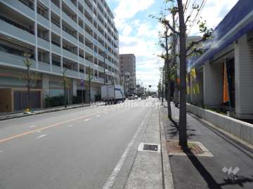 敷地西側の前面道路（北側から）