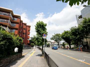 敷地東側の前面道路。道を挟んで『中央公民館』があります。