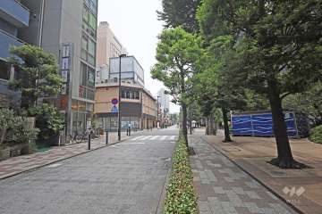 敷地東側の前面道路（北側から）