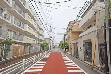 敷地南側の前面道路（西側から）