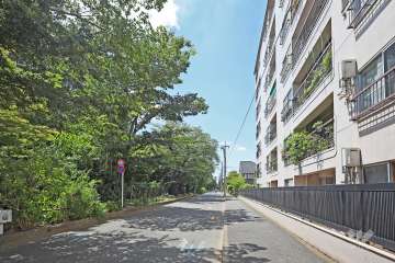 敷地南側の前面道路（東側から）